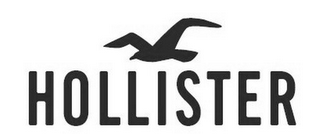 HOLLISTER logo