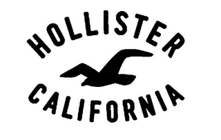 HOLLISTER CALIFORNIA logo
