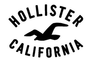 HOLLISTER CALIFORNIA logo