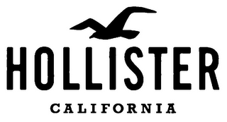 HOLLISTER CALIFORNIA logo