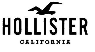 HOLLISTER CALIFORNIA logo