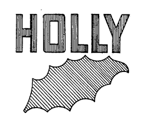 HOLLY logo