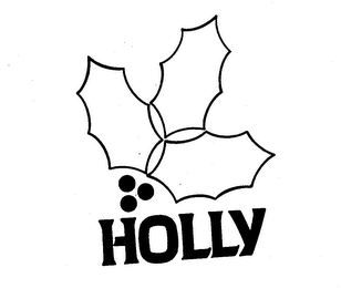 HOLLY logo