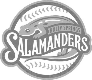 HOLLY SPRINGS SALAMANDERS logo