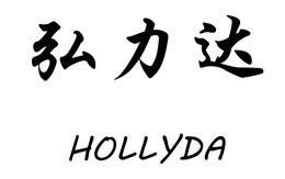 HOLLYDA logo