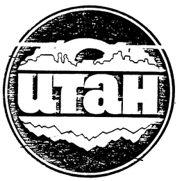 HOLLYWOOD COLLECTION logo