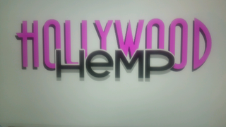 HOLLYWOOD HEMP logo