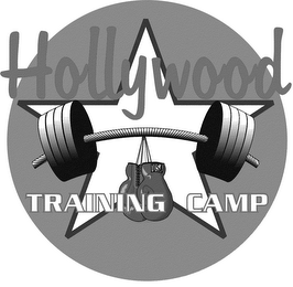 HOLLYWOOD TRAINING CAMP logo