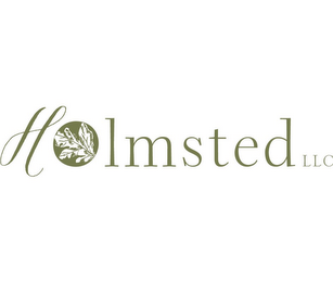 HOLMSTED LLC logo