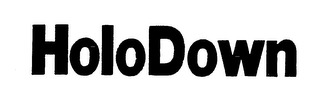 HOLODOWN logo