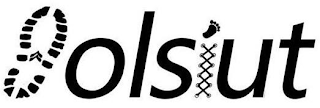 HOLSIUT logo