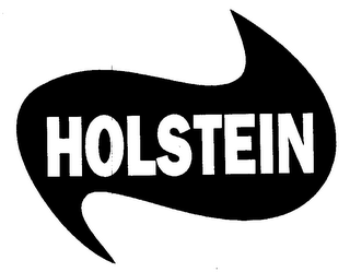 HOLSTEIN logo