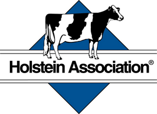 HOLSTEIN ASSOCIATION logo