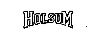 HOLSUM logo