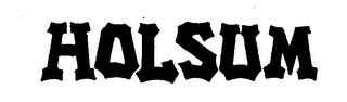 HOLSUM logo