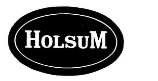 HOLSUM logo