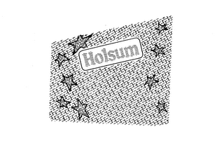 HOLSUM logo