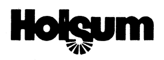HOLSUM logo