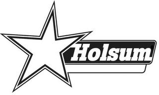 HOLSUM logo