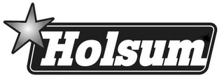 HOLSUM logo