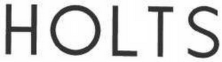 HOLTS logo