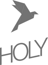 HOLY logo