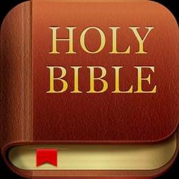 HOLY BIBLE logo