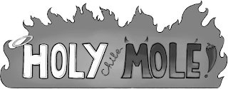 HOLY CHILE MOLE! logo