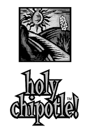 HOLY CHIPOTLE! logo
