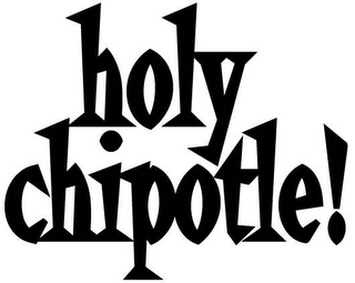 HOLY CHIPOTLE! logo