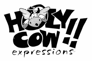 HOLY COW!! EXPRESSIONS logo