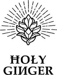 HOLY GINGER logo