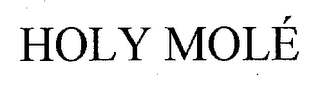 HOLY MOLE' logo