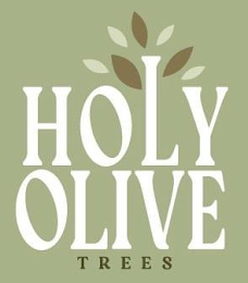 HOLY OLIVE TREES logo