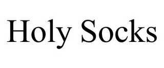 HOLY SOCKS logo