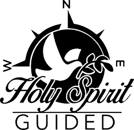 HOLY SPIRIT GUIDED N E W logo
