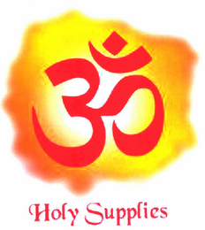 HOLY SUPPLIES logo