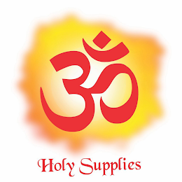 HOLY SUPPLIES logo