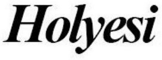 HOLYESI logo