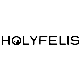 HOLYFELIS logo