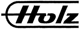 HOLZ logo