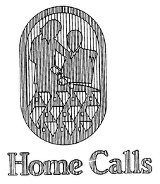 HOME CALLS logo