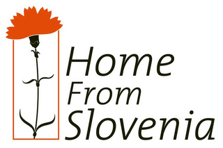 HOME FROM SLOVENIA logo