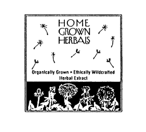 HOME GROWN HERBALS ORGANICALLY GROWN ETHICALLY WILDCRAFTED HERBAL EXTRACT logo