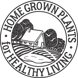 · HOME GROWN PLANTS · FOR HEALTHY LIVING logo