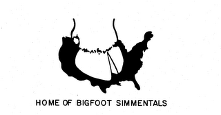 HOME OF BIGFOOT SIMMENTALS logo