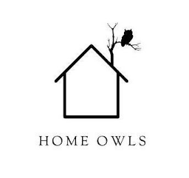 HOME OWLS logo
