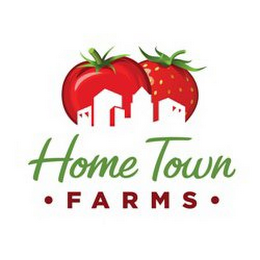 HOME TOWN FARMS logo