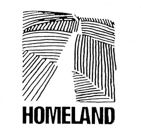 HOMELAND logo