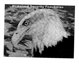 HOMELAND SECURITY FOUNDATION logo